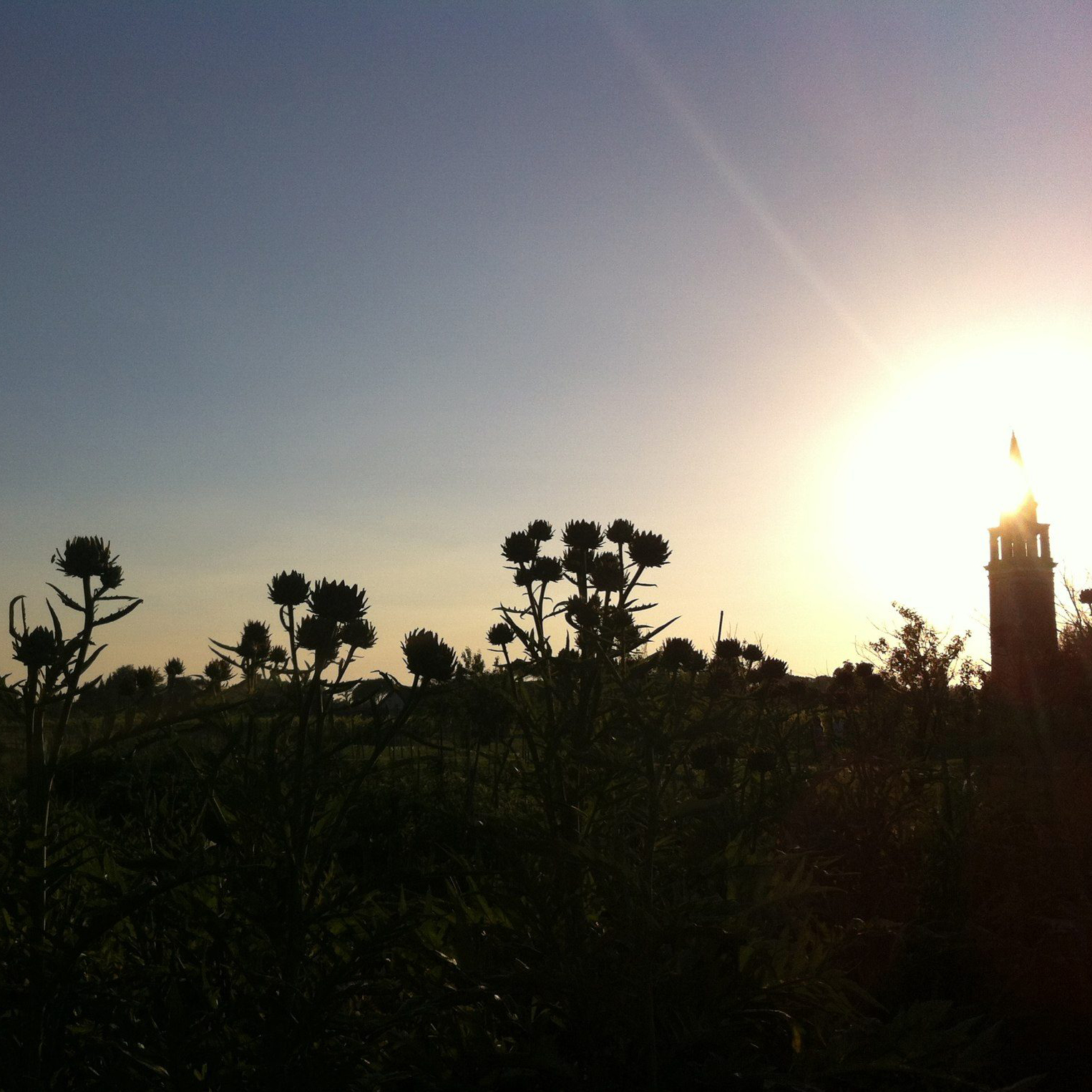 NO LIGHT Ecology: An Introduction